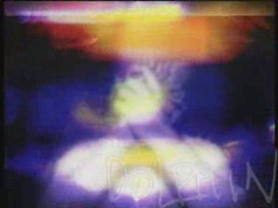 Dolphin - Love