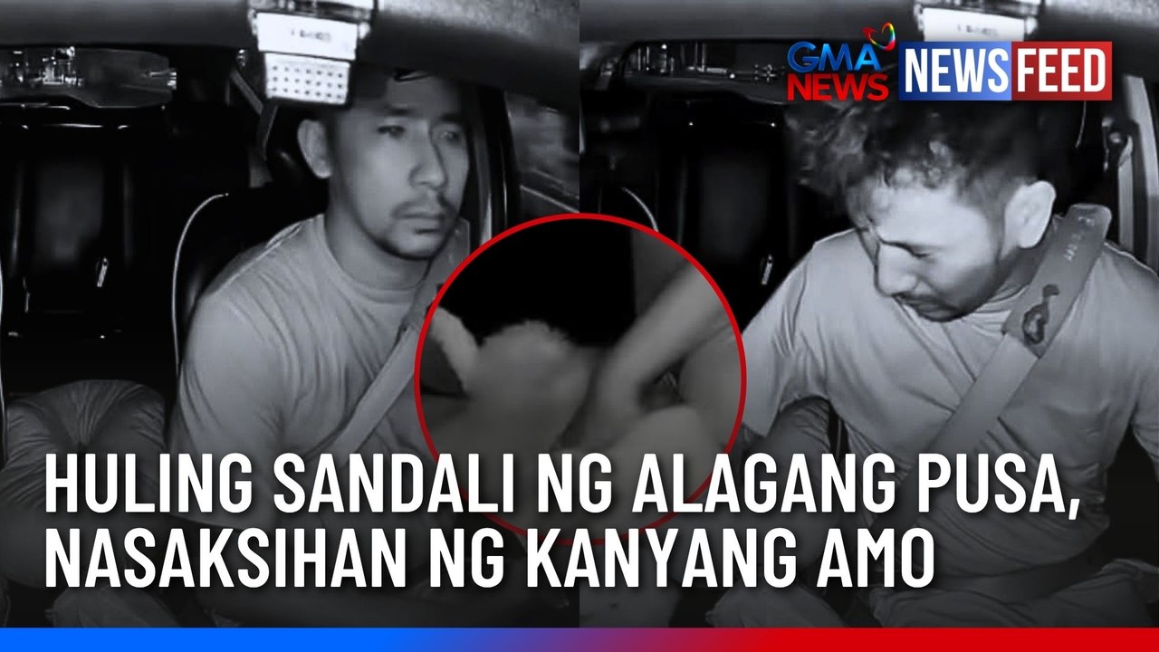 Huling sandali ng alagang pusa, nasaksihan ng kanyang amo | GMA News Feed