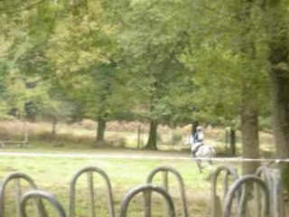 Nerva La Gacilly 2007 Cross