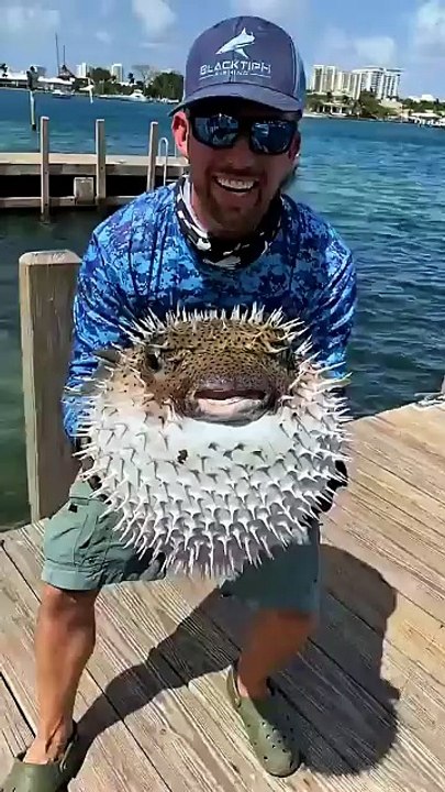 Puffer Fish Builds an Underwater TAJ MAHAL to Find Love! 🐡💕 Ocean's Most Romantic Architect