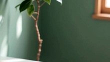 Du arbeitest härter? Slow Productivity enthüllt ⚡