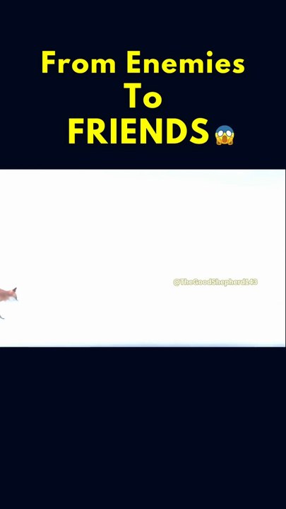 From Enemies To FRIENDS 😱🤯♥️ #shorts #youtubeshorts #catholic #faith #faithjourney #fypシ