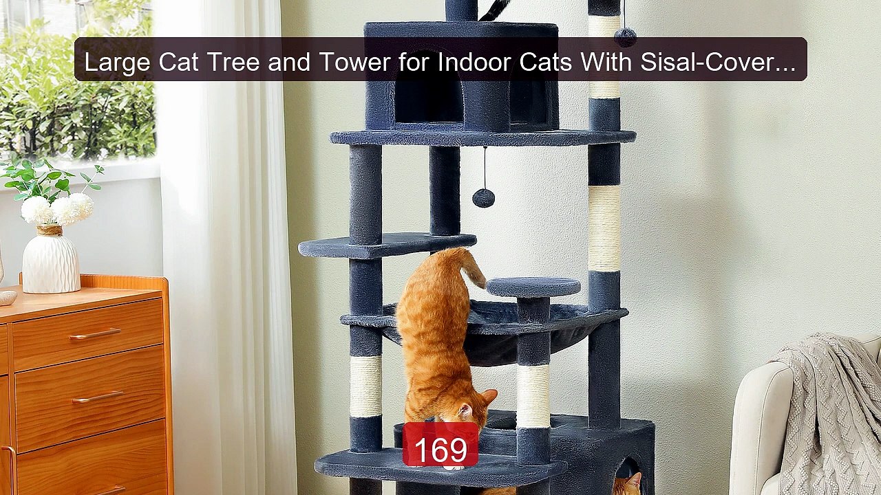 Large Cat Tree and Tower for Indoor Cats With Sisal-Covered Sc... -- Best Buy 2026 | Great Quality!