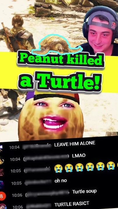 Peanut targeted a turtle in-game and Chat immediately canceled him 💀🐢