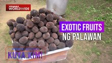 Kakaibang prutas na tila pinaghalong rambutan at ahas, tikman! | Dami Mong Alam, Kuya Kim!