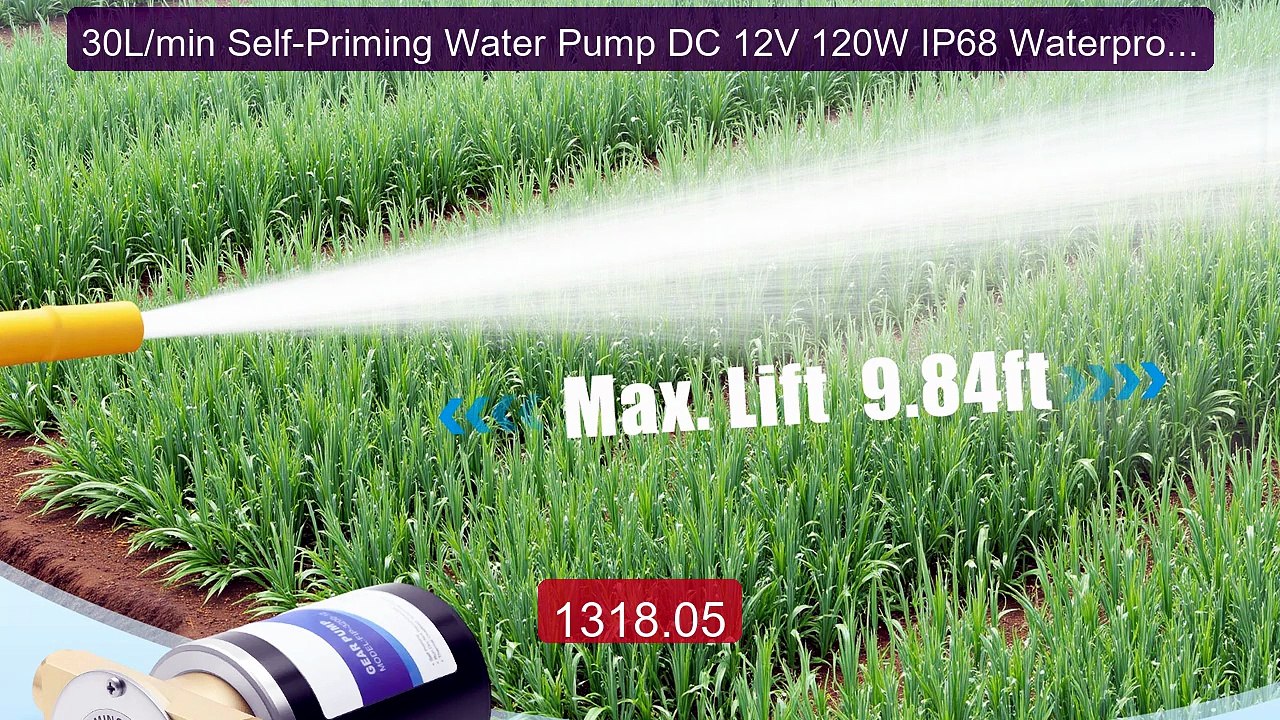 30L/min Self-Priming Water Pump DC 12V 120W IP68 Waterproof Co... -- Best Buy 2026 | Great Quality!