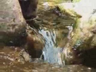 Bassin 2008(1)