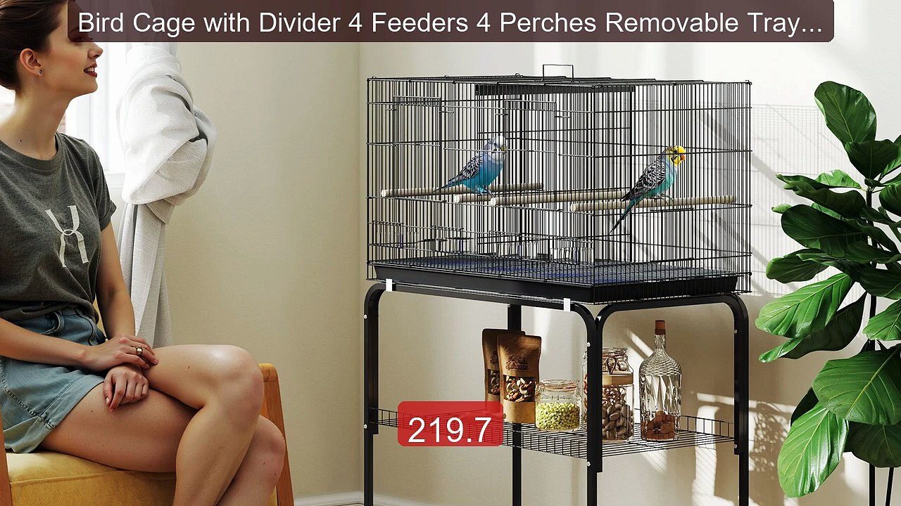Bird Cage with Divider 4 Feeders 4 Perches Removable Tray for ... -- Best Buy 2026 | Great Quality!