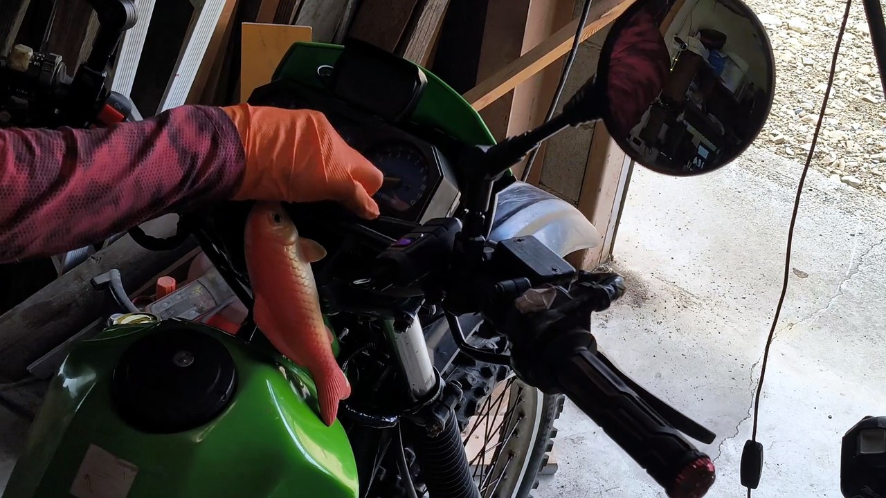 KMX125　調整完了！