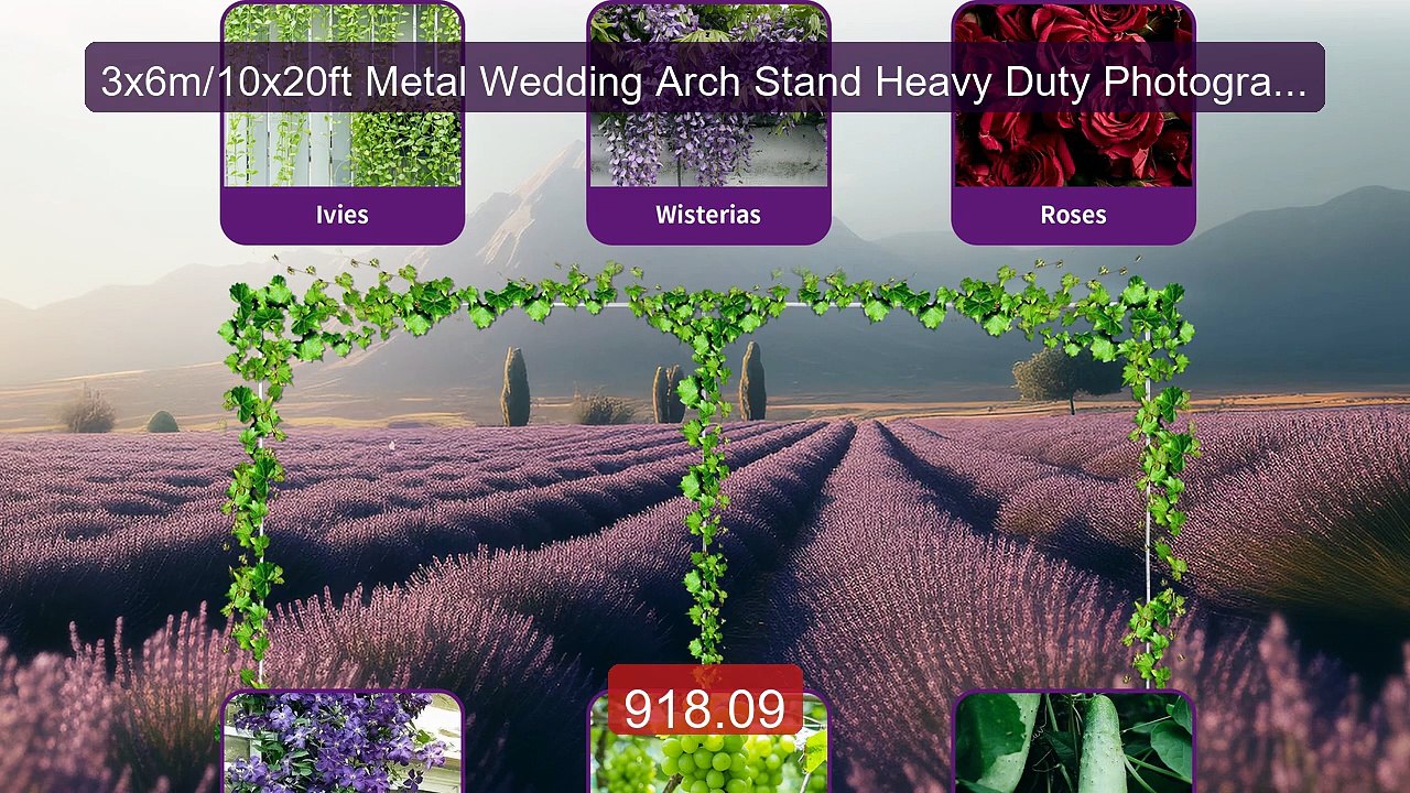 3x6m/10x20ft Metal Wedding Arch Stand Heavy Duty Photography ... -- Amazing Value 2026 | Must Have!