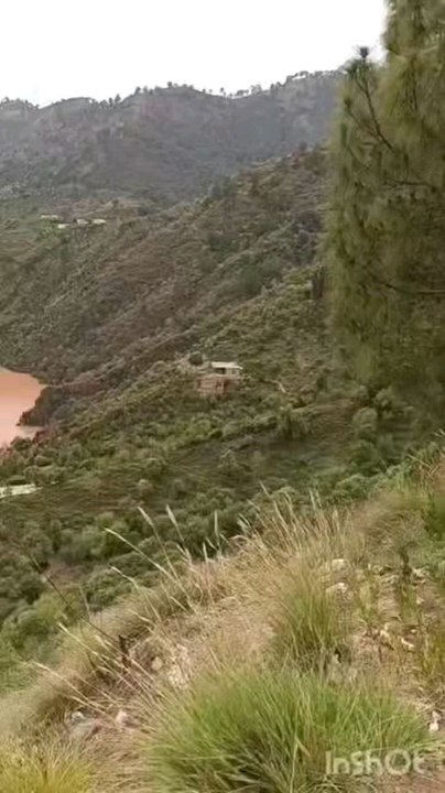 Kotli