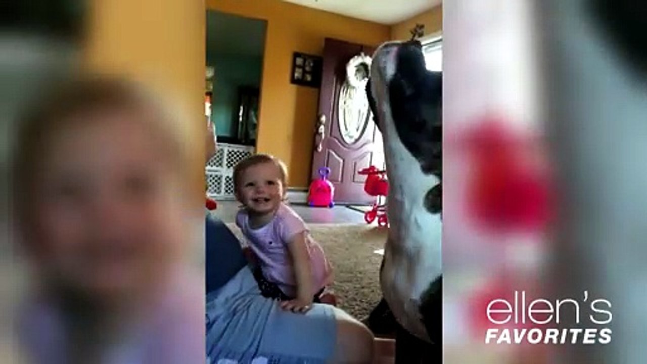 Cute baby and dogs