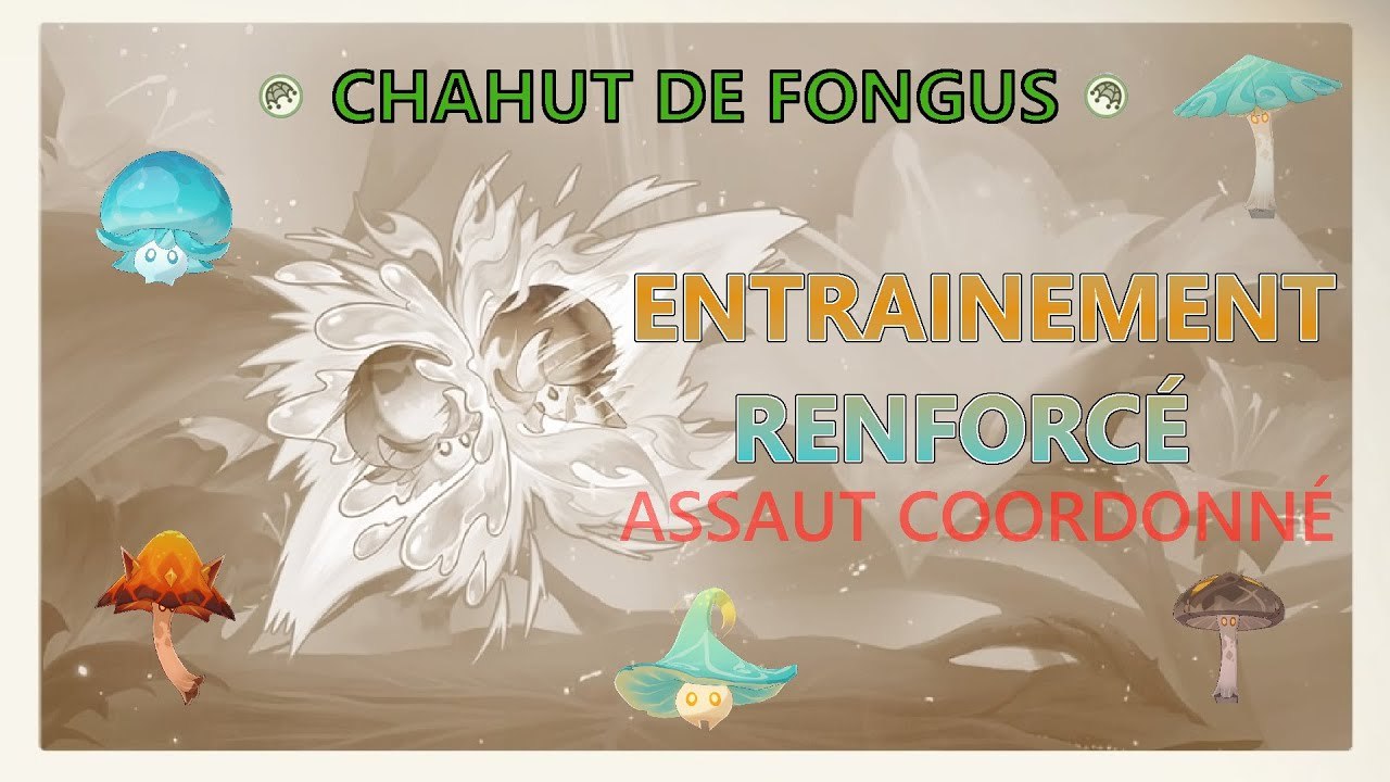Chahut de Fongus - Entrainement Renforcée : Assaut coordonné | Genshin Impact FR