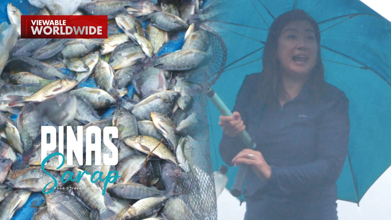 Kara David, ‘di nagpatinag sa malakas na ulan para manghuli ng isda sa Lake Calibato | Pinas Sarap