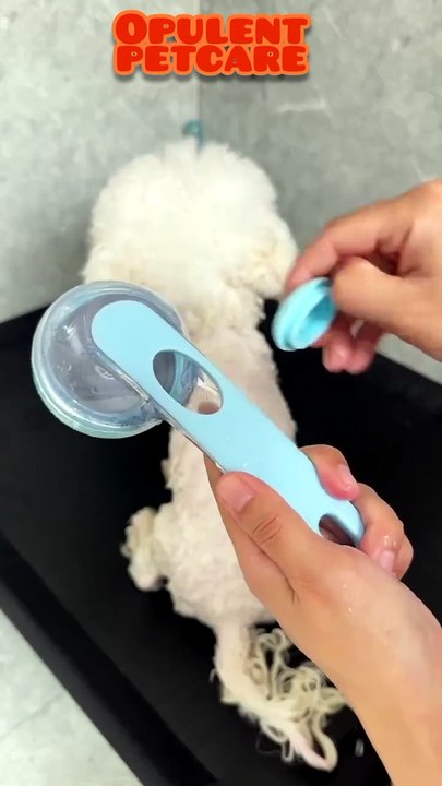 Silicone Pet Shower Brush with Soap Dispenser – Dog & Cat Bath Time Essential