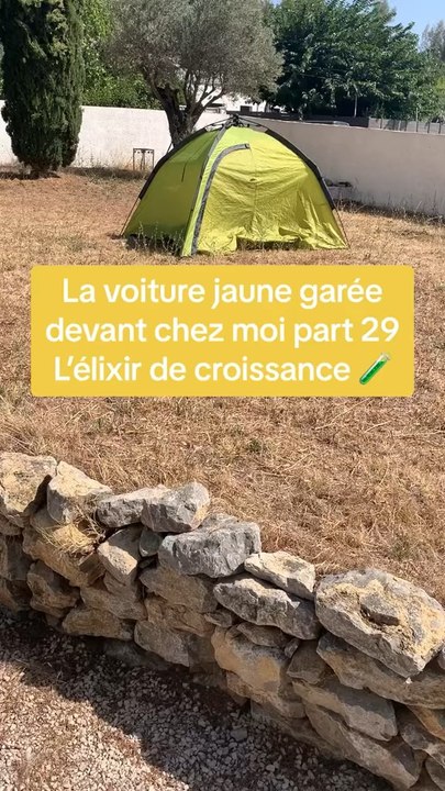 La voiture jaune 🚕 part 29 #smilyjayce #agogo #potdemoutarde #voiture #jaune