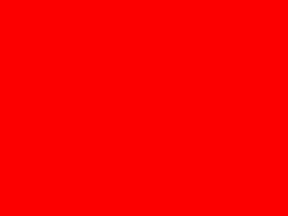 XSS Test