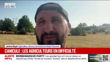 Jérôme Bayle, agriculteur et éleveur de bovins en Haute-Garonne témoigne de l'impact de la canicule sur son exploitation