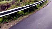Road side travel view of nature
