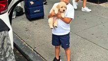 He Only Asked for One Thing… 🥹🐶❤️