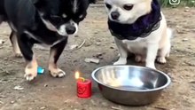 VID_20260707_002341_592