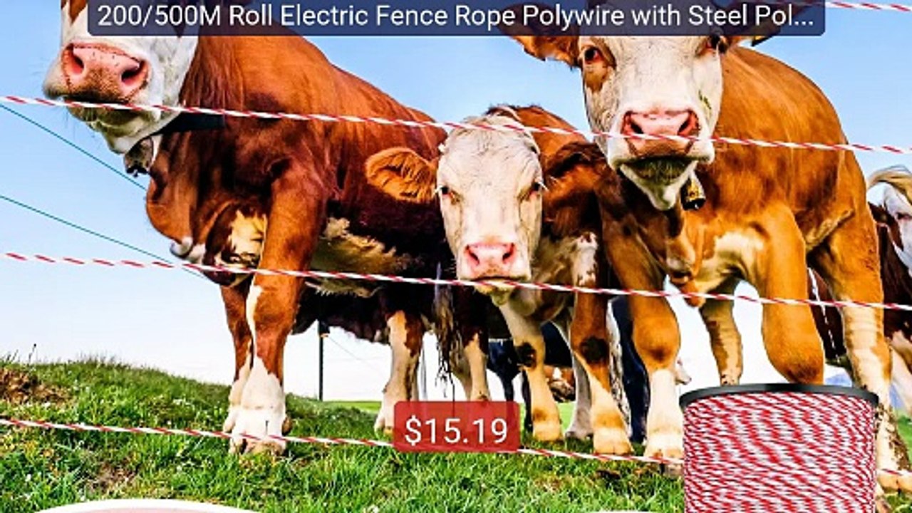 200/500M Roll Electric Fence Rope Polywire with Steel Poly Rop... -- Hot Deal 2026 | Limited Offer!