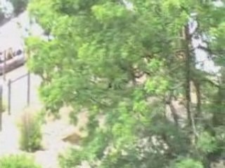 29-06-2008 um dia no mar de areia 2