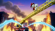 PAW Patrol Bedtime Dreams Song | Marshall, Chase, Skye & Friends