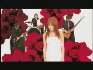 Dazzle Vision - Camellia [PV]