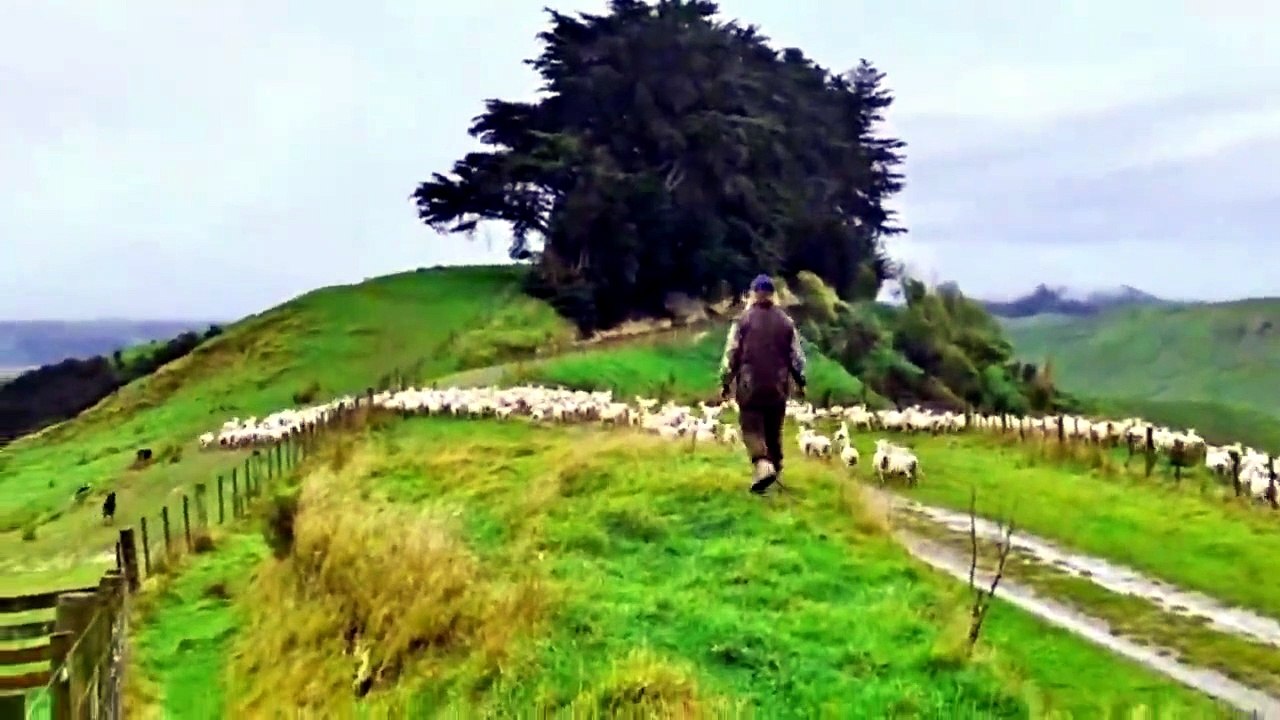 A VILLAGE LIFE IN NEW ZEALAND