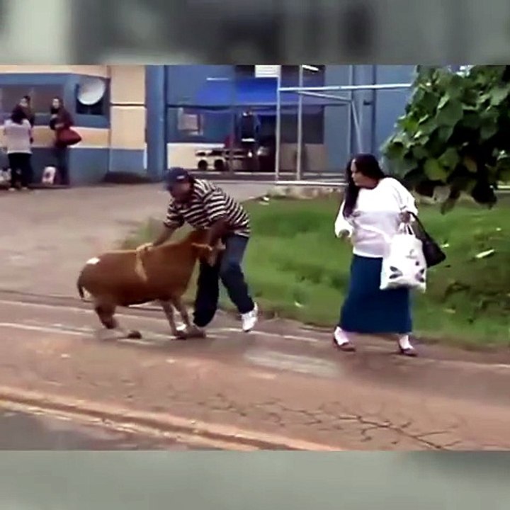 funny moments