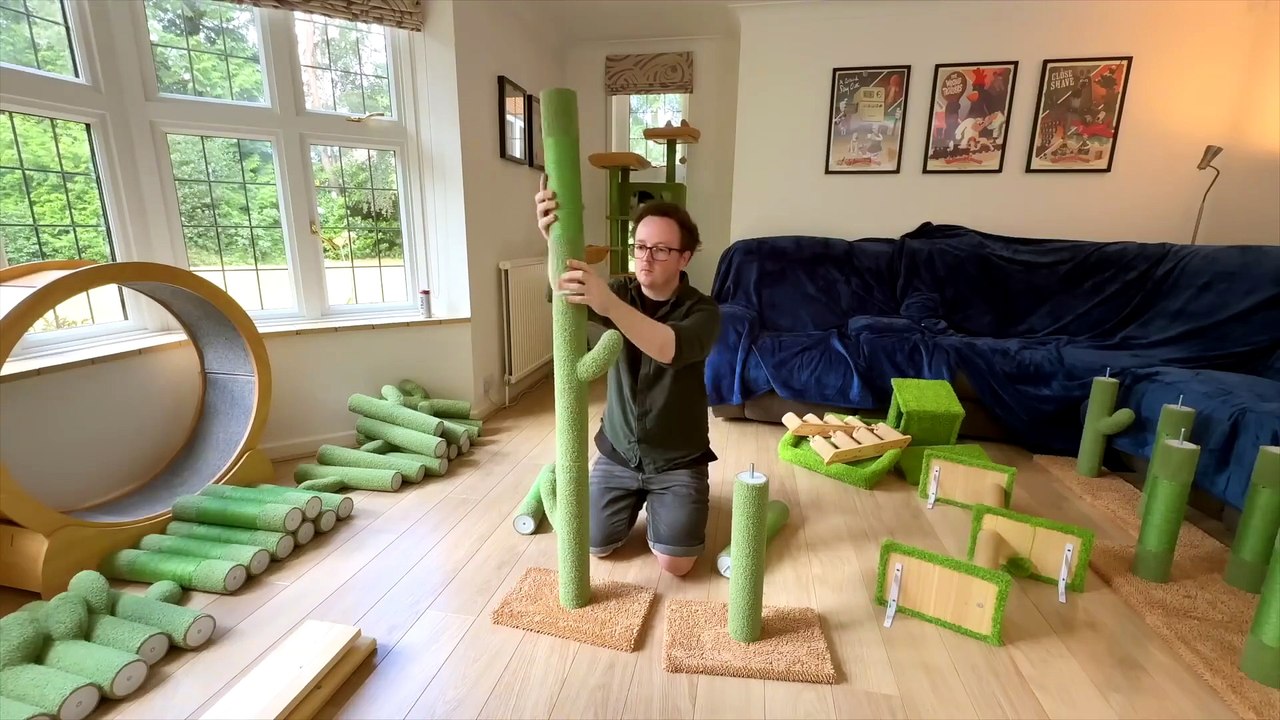 I Built Cat WALKWAYS Around My House!