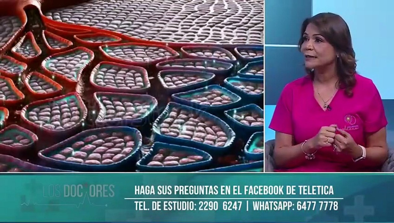 Los Doctores 14 abril 2026 [Full Movie]