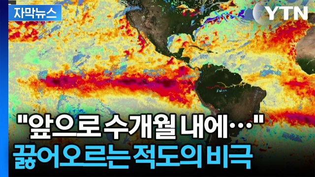 [자막뉴스] 곧 '죽음의 공포' 찾아온다...타오르는 태평양 '재앙의 신호탄' / YTN