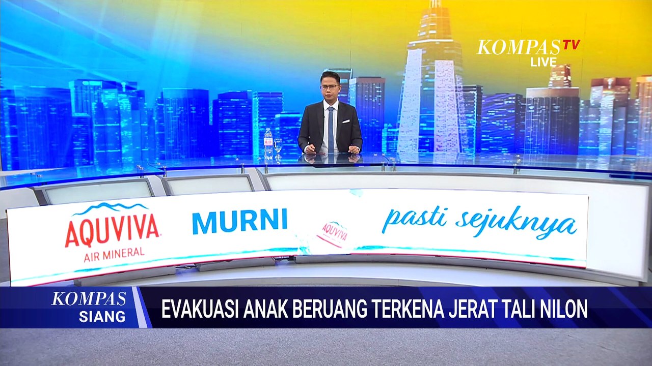 Anak Beruang Madu Terjerat Tali Nilon di Pasaman, BKSDA Evakuasi dengan 3 Kali Pembiusan