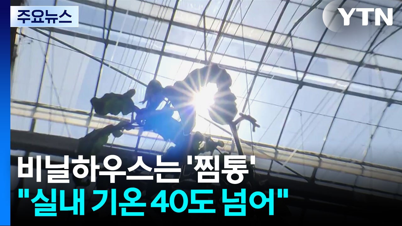 비닐하우스는 '찜통'..."실내 기온 40도 넘어" / YTN