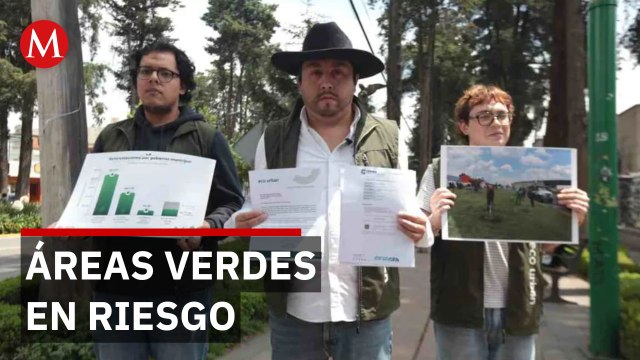 Toluca tala 60 árboles en Paseo Colón; ambientalistas cuestionan decisión y demandan información