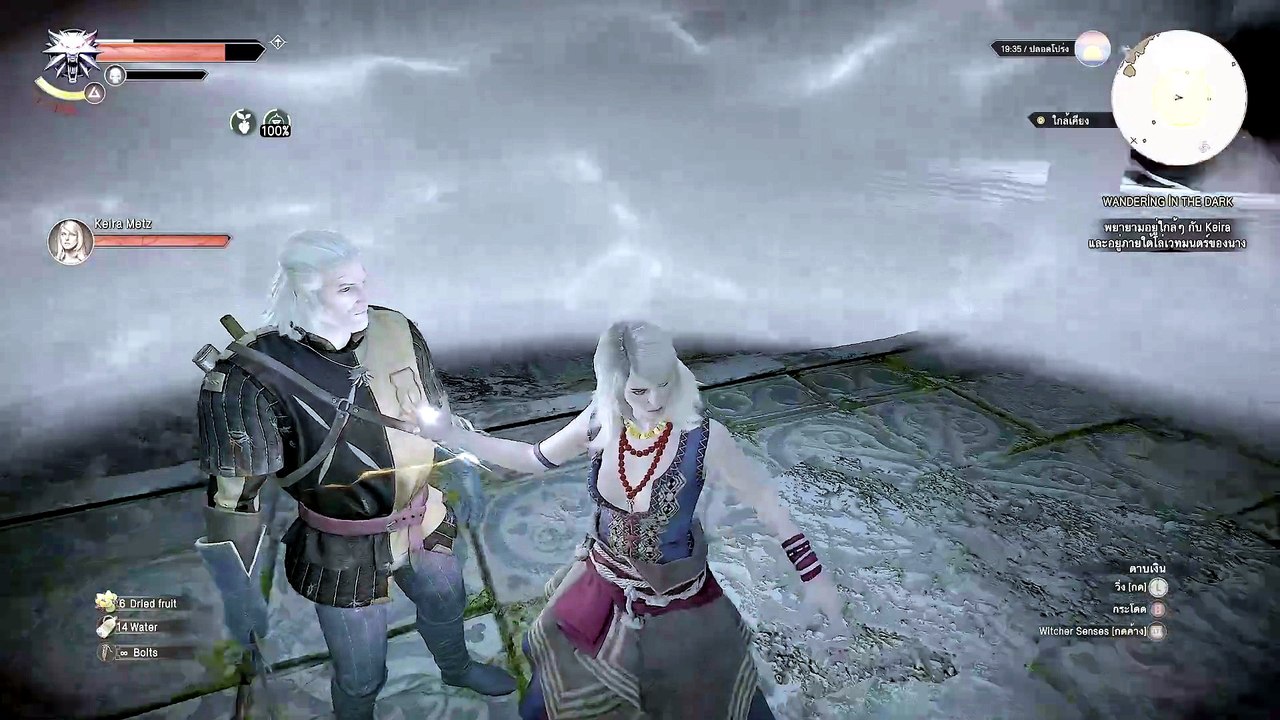 THE WITCHER 3 GAMEPLAY PART 17