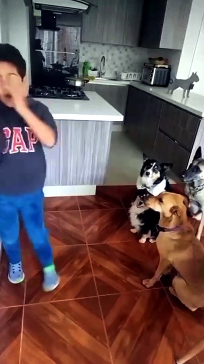 Funny videos #cute #baby #viral #kids #funny