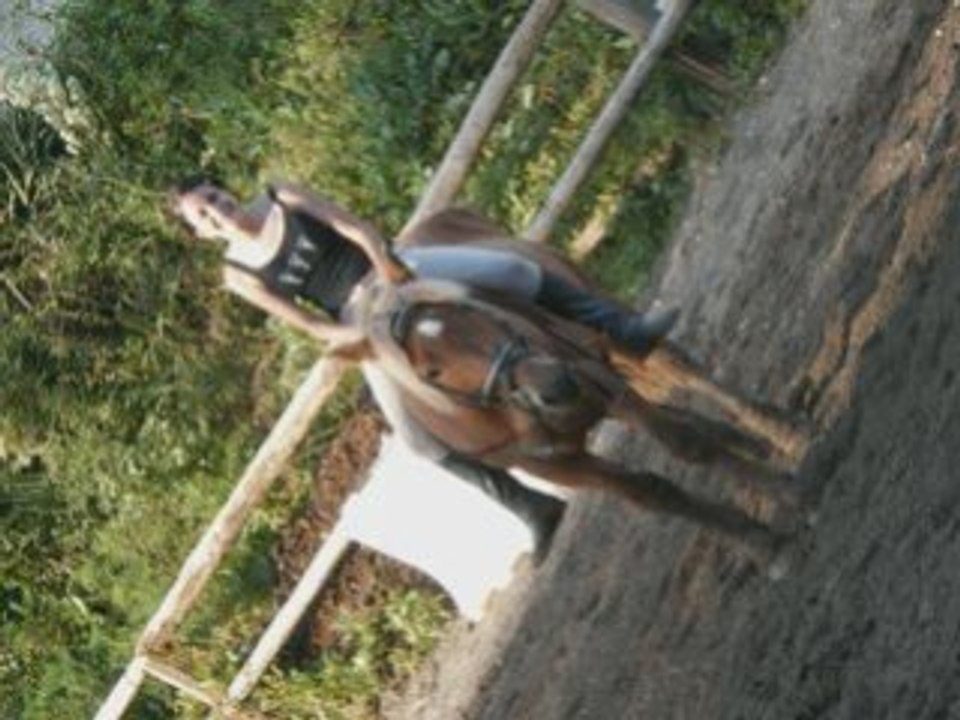 Ma jument :D