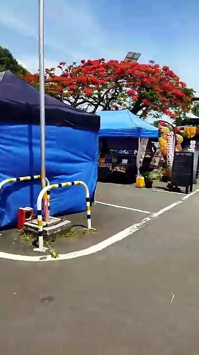 Saturday Market - Cook Islands Rarotonga