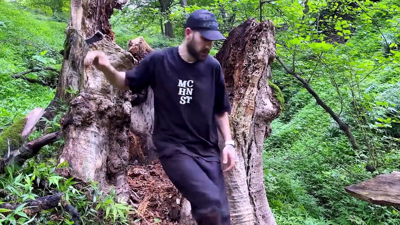 Building a Secret Shelter Inside a Giant Tree Stump   Solo Bushcraft, Survival
