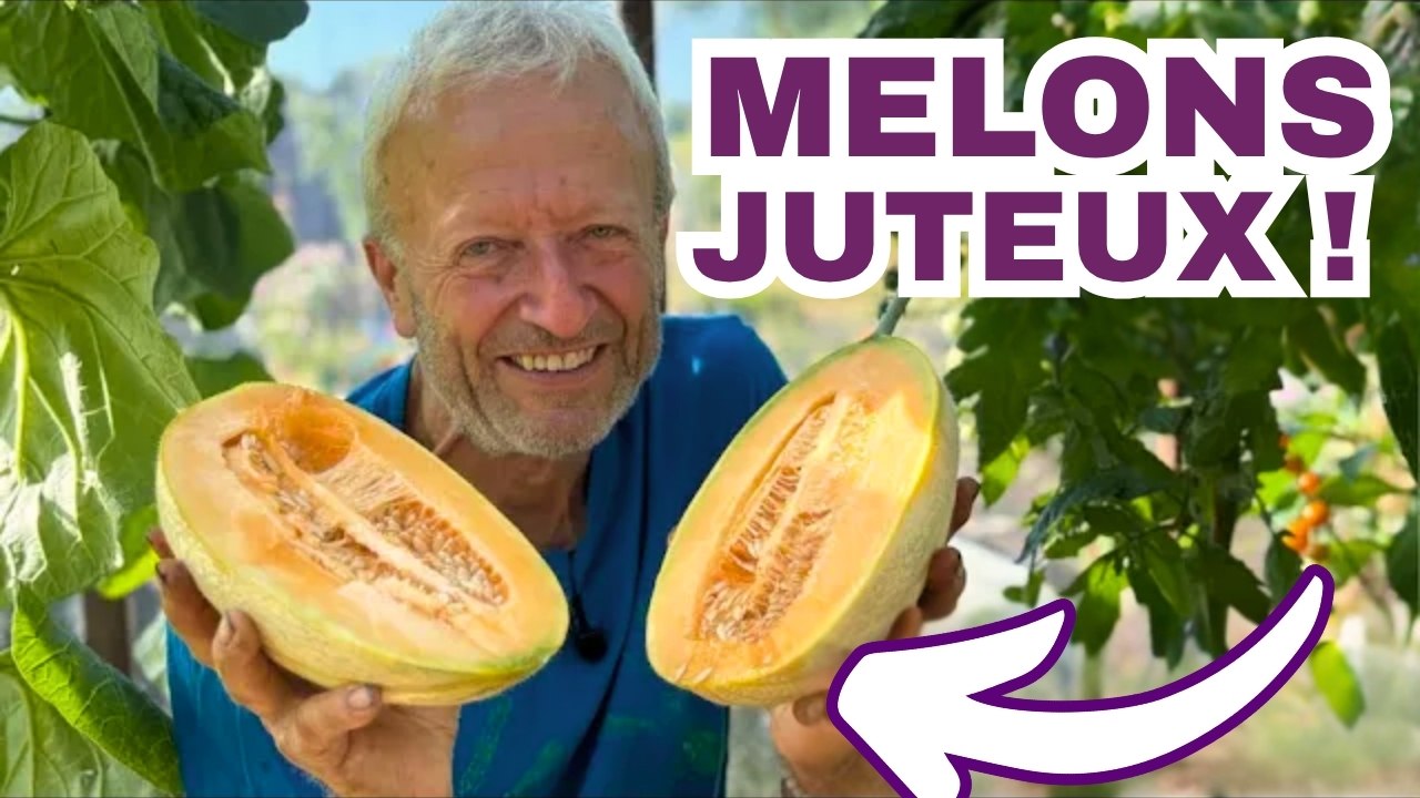 Jardinage en Juillet : Associations de Cultures, Arrosage Manuel & Pommes de Terre sans Rotation