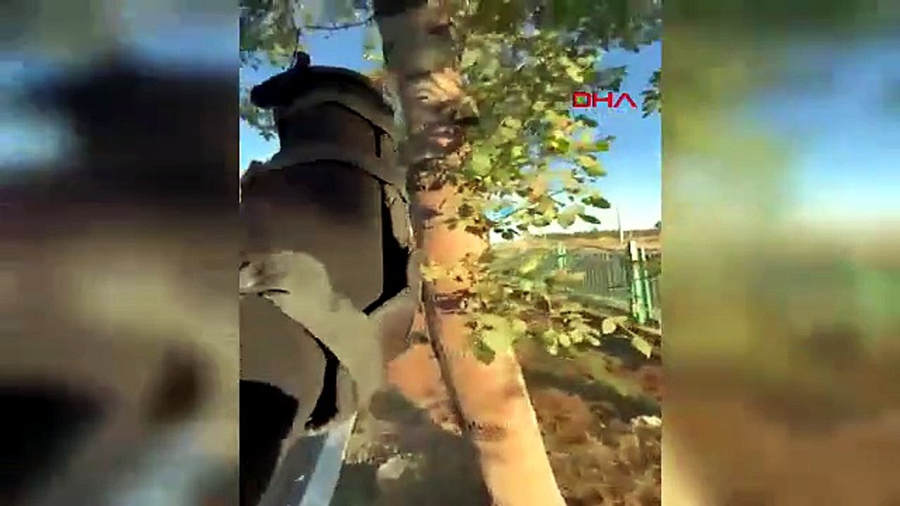 Yolda çırpınan serçeyi fark etti! Motokurye kuşu böyle kurtardı