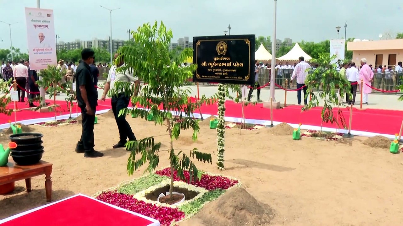 #GUJARAT #AHMEDABAD TREE PLANTATION UNDER MISSION 5 MILLION TREES,NDDB PLOT, OPPOSITE #VADAJ BRTS BUS STAND
