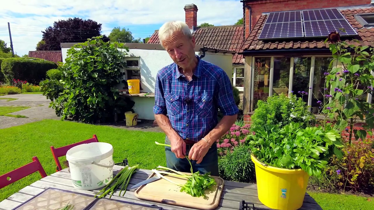 Make amazing bouillon with leaves of celery | Onion and Carrot | Charles Dowding