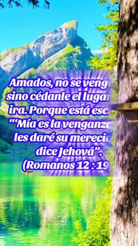 Reflexiones Bíblicas