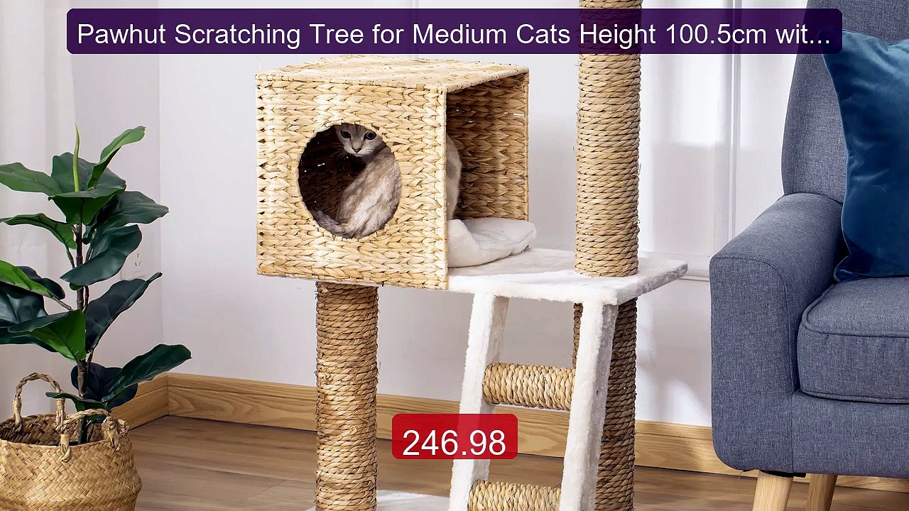 Pawhut Scratching Tree for Medium Cats Height 100.5cm with Cav... -- Best Buy 2026 | Great Quality!