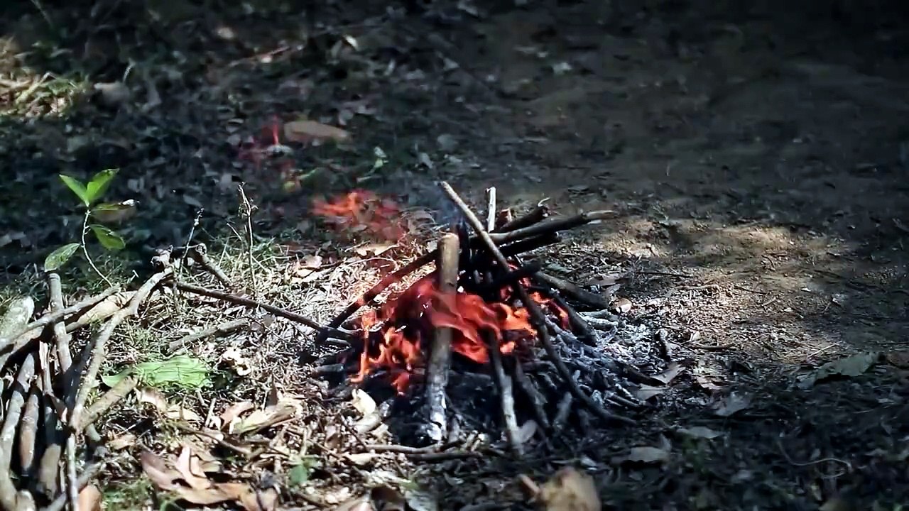 Building a Warm and Cozy Hollow for Survival, in the root of a fallen spruce  Underground House