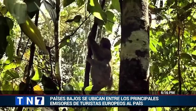 tn7-plyas-volcanes-y-bosques-toman-protagonsismo-en-paises-bajos-120426 [Full Movie]